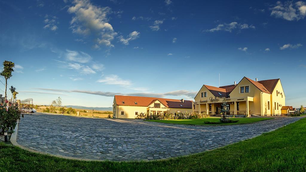 Conacul Benke Hotel Moacsa Exterior photo